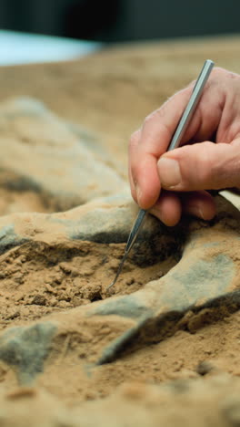 archaeologist excavating a dig site