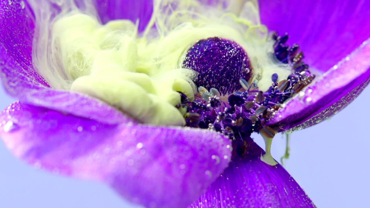 flor de anémona púrpura con intrincados patrones de agua y tinta