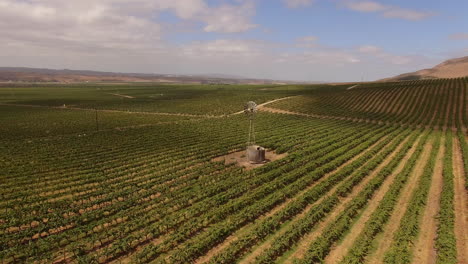 Aerial-Over-California-Farm-Fields-Near-Santa-Maria-California