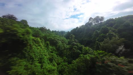 Tropisches-Klima,-üppige,-Lebendige-Lage,-Südostasiatischer-Regenwald