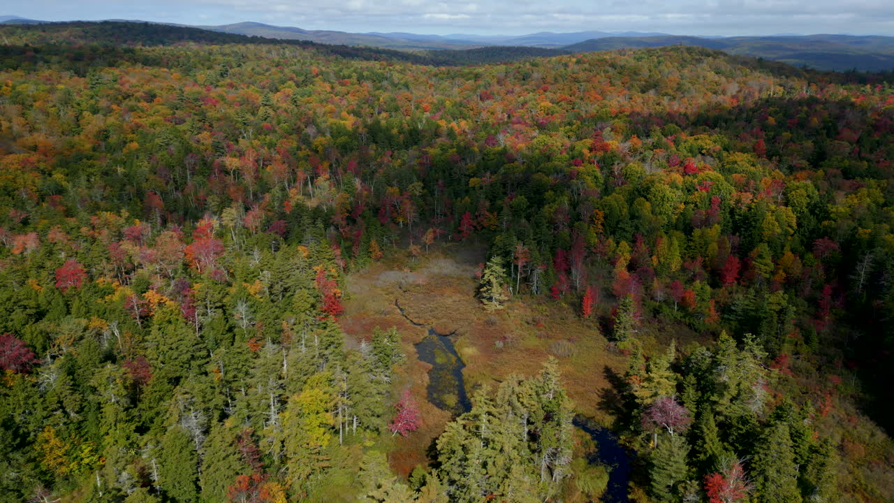 un hipnotizante disparo de drone capturando los vibrantes colores del bosque que rodean el estanque de plainfield desde arriba
