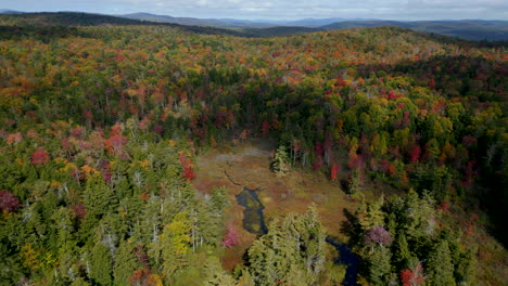 a mesmerizing drone shot capturing the vibrant forest colors surrounding plainfield pond from above