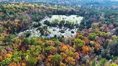 Stone-Mountain-surrounded-by-woods-during-fall-in-the-afternoon