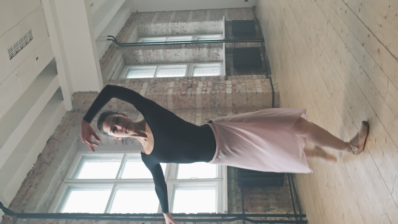 Female Ballet Dancer Rehearsing In Class