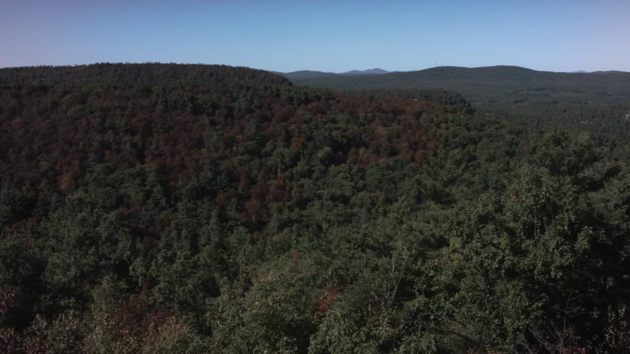 A colorful dense forest sits on a mountain as the camera pans amongst a blue sky