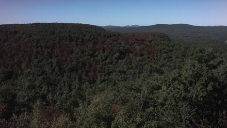 A-colorful-dense-forest-sits-on-a-mountain-as-the-camera-pans-amongst-a-blue-sky