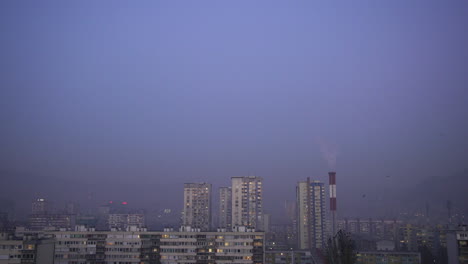 Flock-of-crows-flying-in-a-city-at-twilight