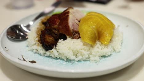 un plato de arroz con pato y pollo