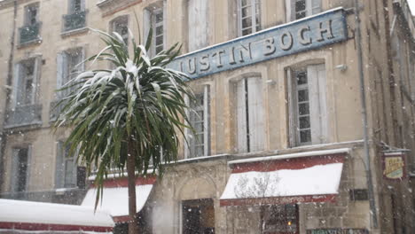 amazing beauty shot of snow falling in slow motion palm tree and old bar facade.