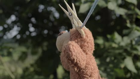osito de peluche colgado en el tendedero para secarse