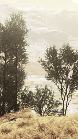 beautiful landscape with foggy mountains and trees