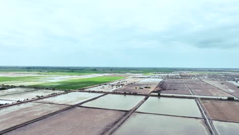 Foto-Superior-De-Un-Dron-De-Algunos-Campos-De-Arroz-Inundados-Con-Agua-Para-El-Cultivo-De-Arroz-En-El-Cultivo-De-Golarchi-En-Sindh,-Pakistán-