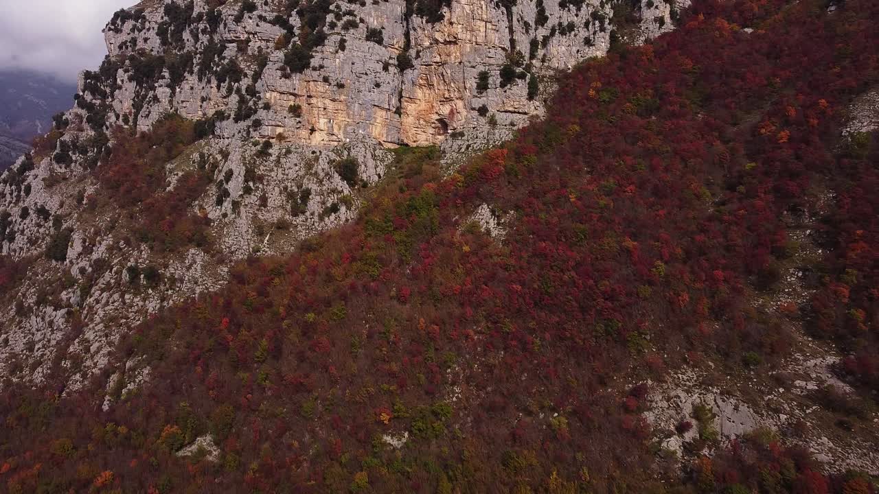 vista aérea hacia adelante de las montañas con vegetación roja