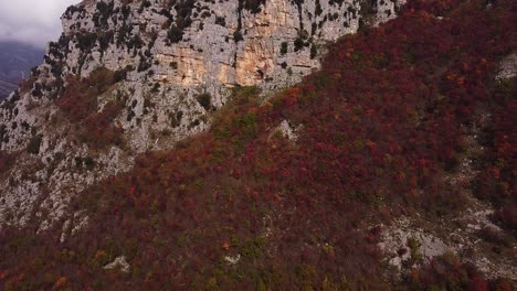 Vista-Aérea-Hacia-Adelante-De-Las-Montañas-Con-Vegetación-Roja