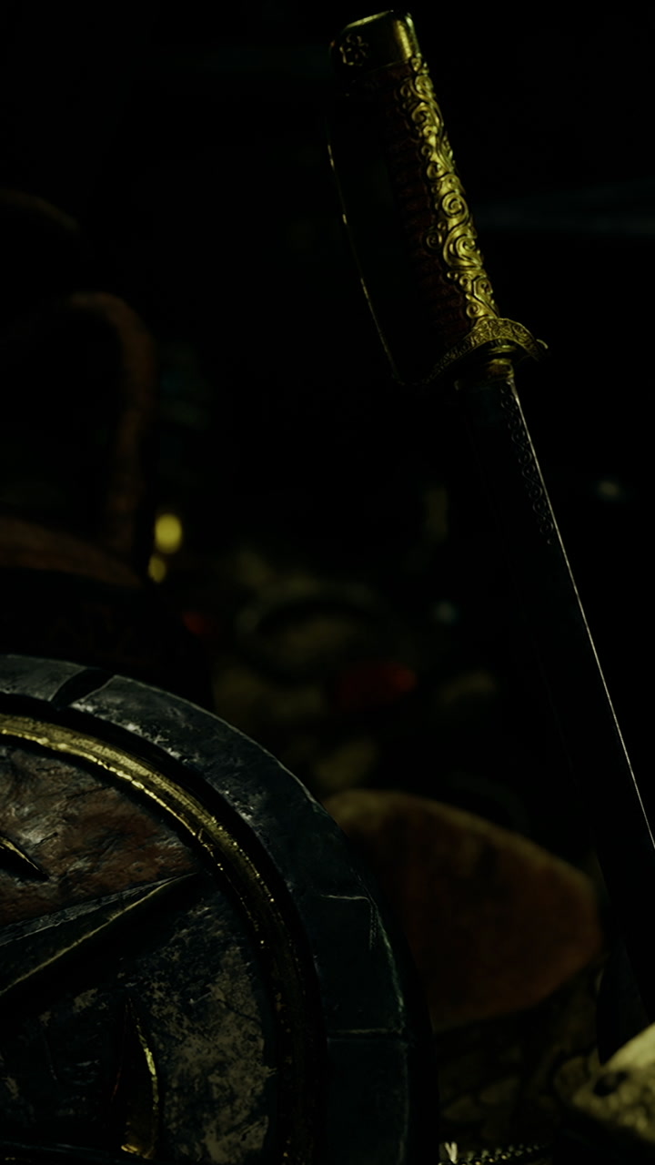 Sword and shield in dark setting at historical reenactment event