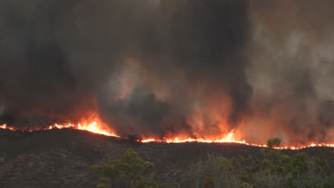 wildfire raging and burning through forest in california