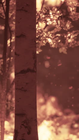 a forest fire burning with trees and smoke in the background