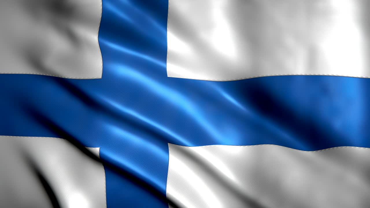 핀란드의 발을 흔들며 눈에 띄는 매와 매우 상세한 직물 질감을 가지고 있습니다.