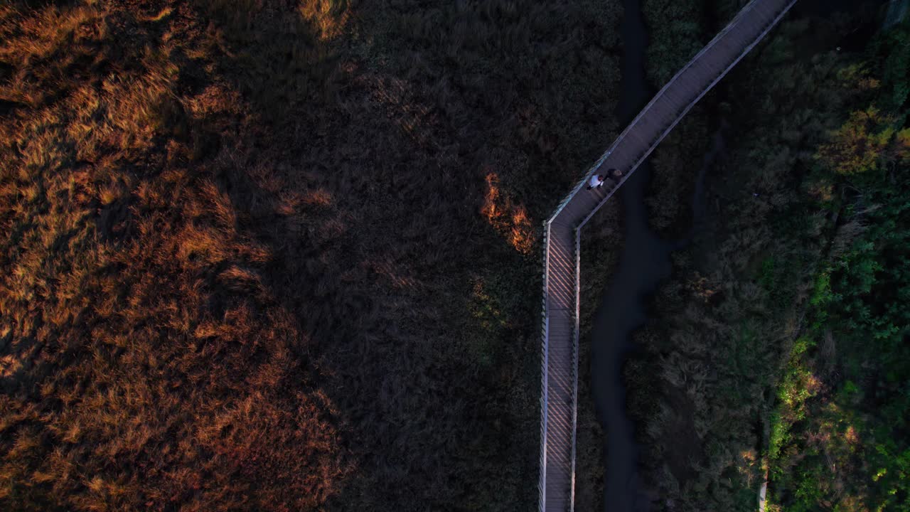 Vista mozzafiato di un sentiero attraverso un paesaggio contrastante arancione bruciato e verde
