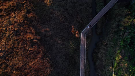 Atemberaubender-Blick-Auf-Einen-Weg-Durch-Kontrastierende-Orangefarbene-Und-Grüne-Landschaft