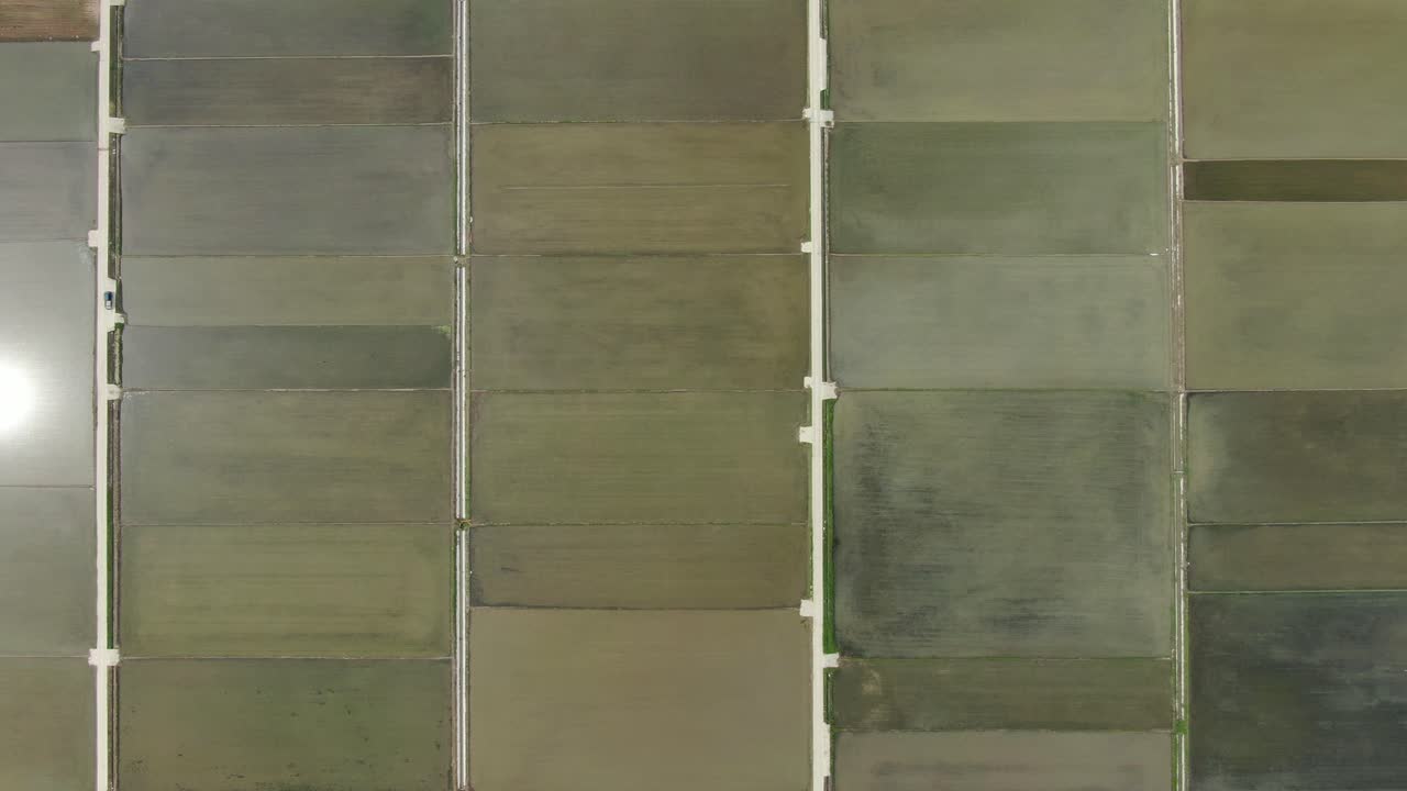 네모난 논, 인천