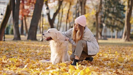 sincere pet love. young happy woman caressing her lovely dog, embracing him at autumn urban park on sunny weekends