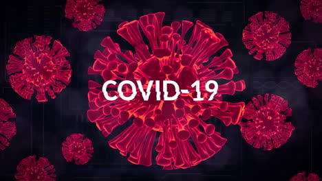 animation of covid 19 cells over dark background