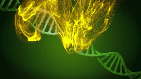 dna strand and glowing particles animation on dark green background