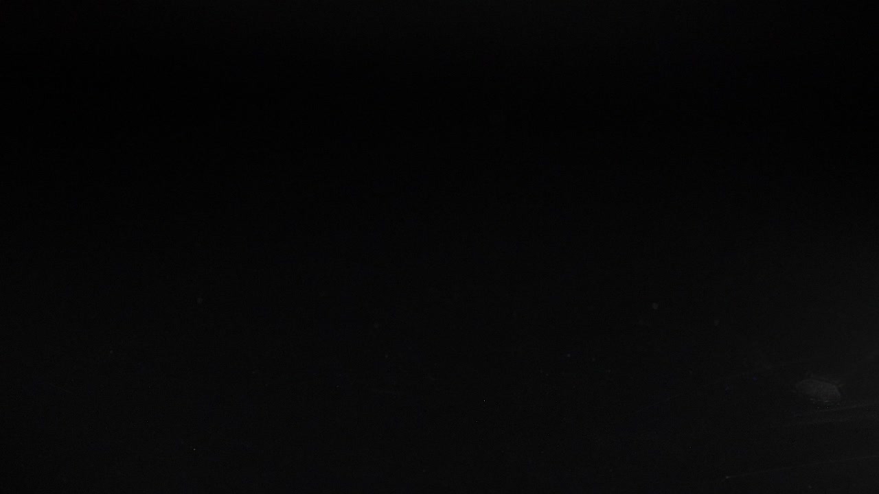 различные цветные кости качаются и оседают на черной поверхности