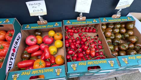 various tomatoes displayed in boxes at a market