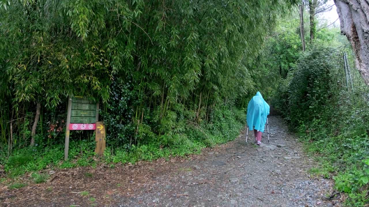 Pilgrim in blue rain poncho walking on wet trail at entrance of Camino del Norte in Hondarribia, Spain, with signpost and lush green forest