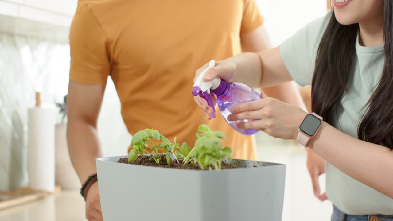 Diversa coppia che si prende cura del bancone della cucina mentre la donna spruzza un nebulizzatore viola e vaporizza le erbe in una fioriera