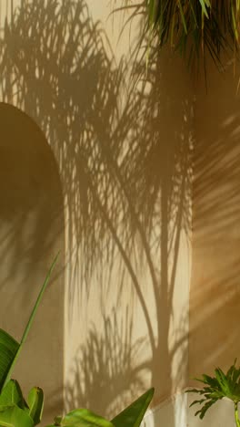 marrakesh palm shadows on wall create serene, exotic ambiance