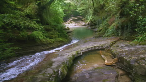 tranquil forest creek with waterfall and wooden bridge