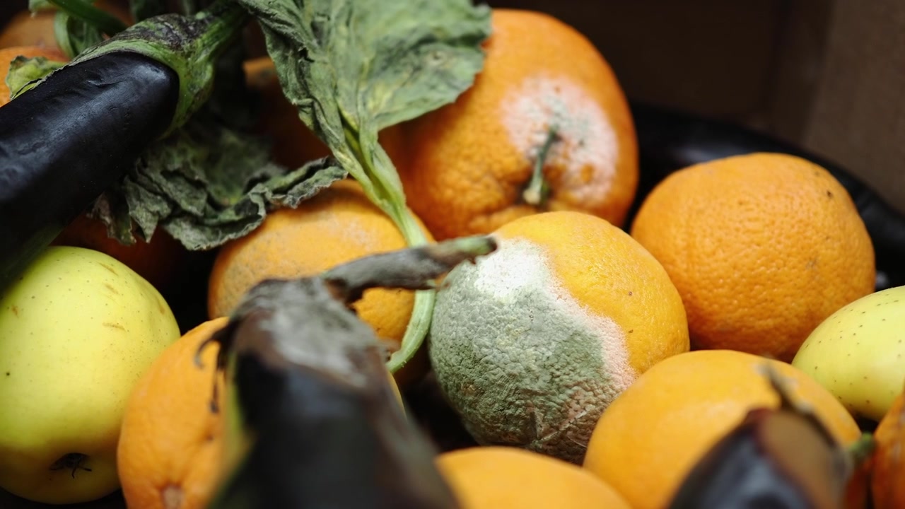 Primer plano de naranja mohosa entre frutas y verduras frescas