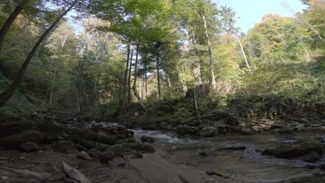 Pequeño-Dron-Volando-Sobre-Un-Arroyo-En-El-Bosque