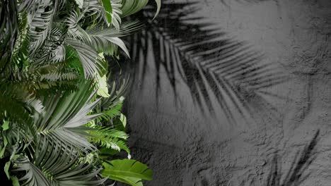 tropical green palm leaves on the left with leaf shadows on a textured grey wall. natural jungle foliage composition. flat lay composition with copy space. summer and nature, wallpaper vertical