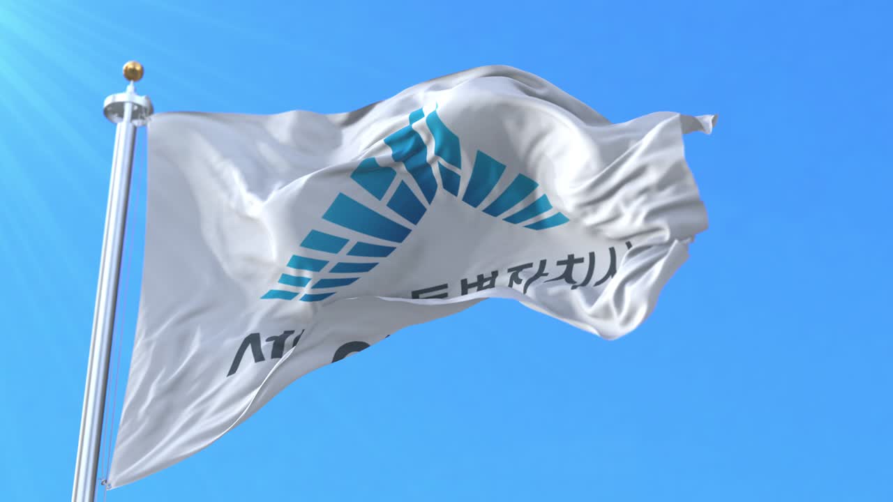 세종시의 발, 남한의 도시, 루프