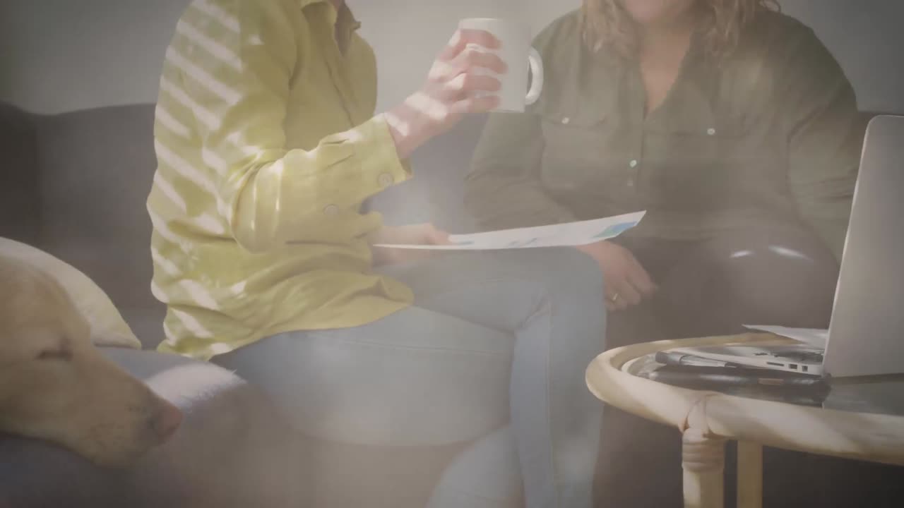 집에서 소파에서 개가 잠을 자는 동안 함께 일하는 두 백인 여성에 대한 빛의 반점