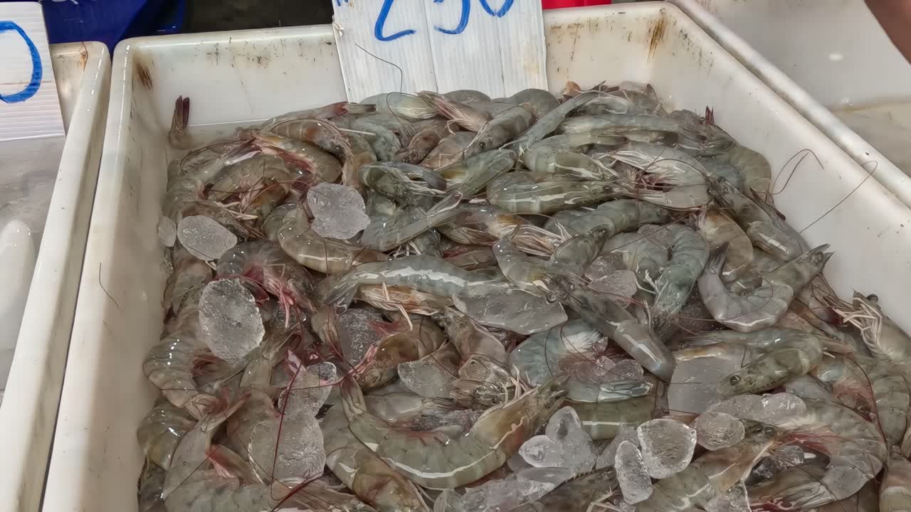 Close-up of gloved hands arranging shrimp in a market bin with visible price tags.
