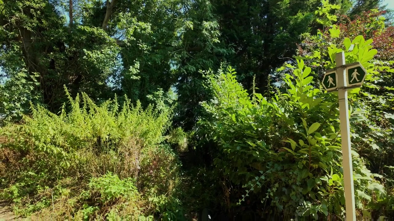 Bajando por la entrada de un sendero cubierto de vegetación marcada por una señal de sendero para caminar