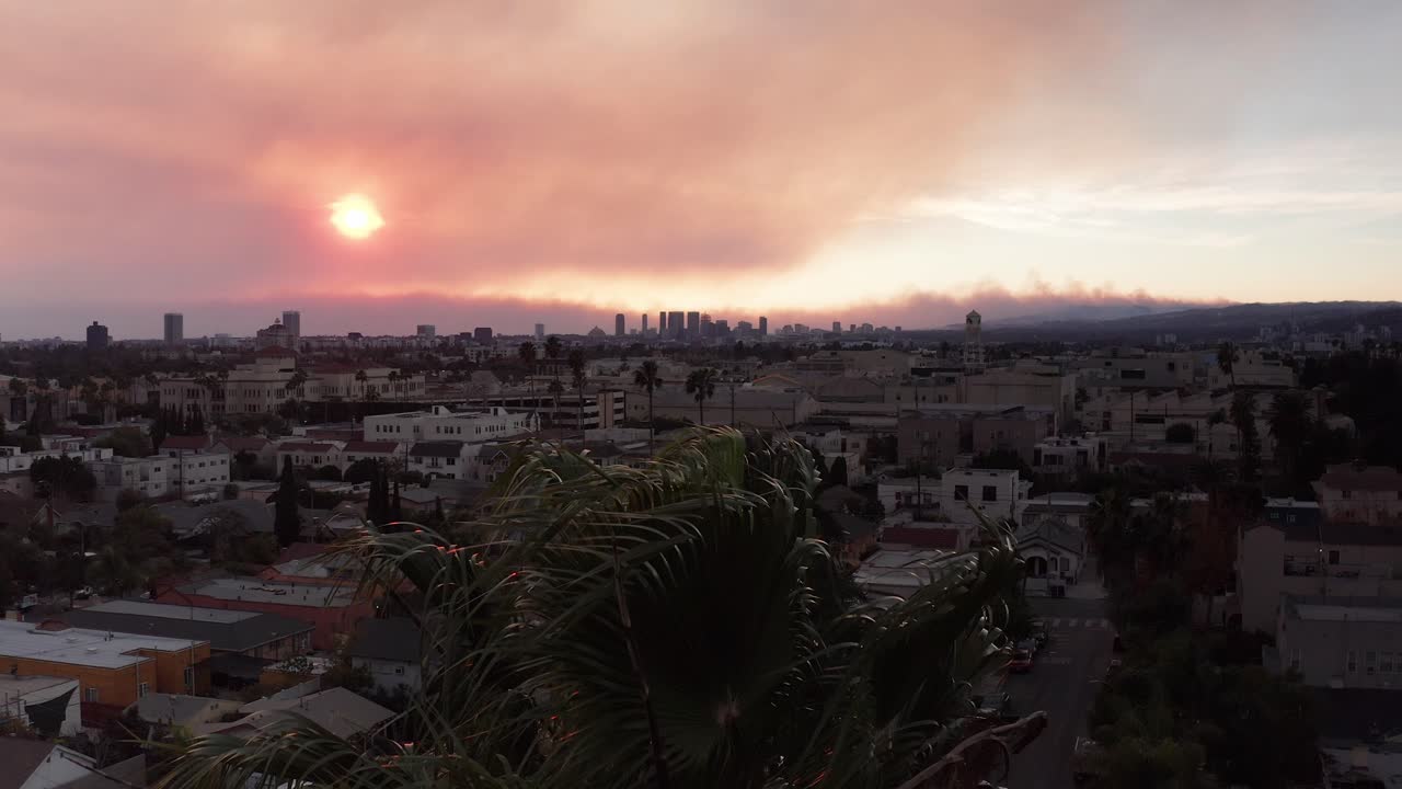 Aerial close-up panning shot of a palm tree with the Palisades Fire burning on the horizon at sunset in Hollywood, California. 4K