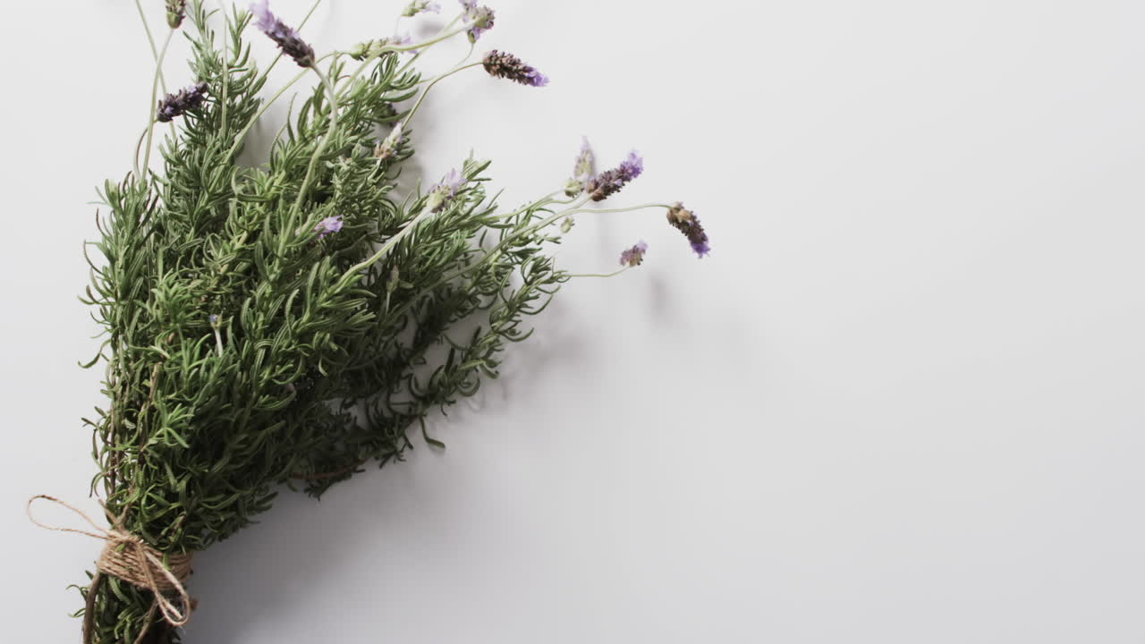 Video di un mazzo di fiori e foglie di lavanda con spazio per il testo su sfondo bianco.