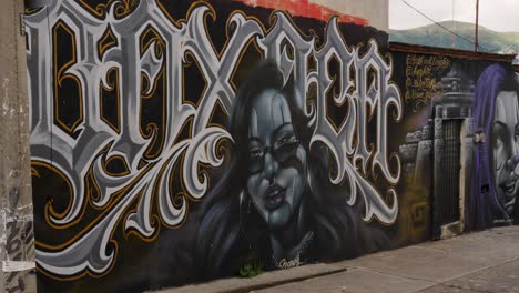 slow motion landscape of oaxaca street art script graffiti mural vandalism on wall in street road alleyway mexico city urban central america tourism design culture typography