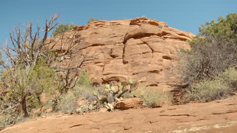 Cinematic Beautiful Red Rock in Sedona Arizona On A Sunny Day