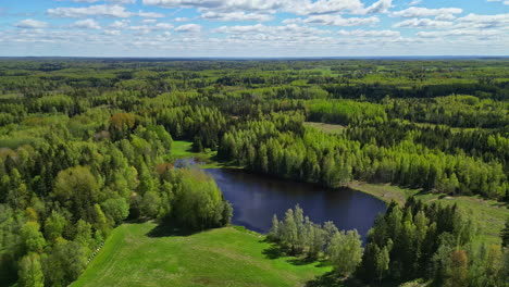 endless forest landscape with blue pond bellow, aerial orbit view