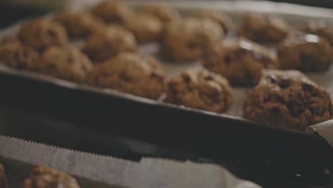 chocolate chip cookies on baking tray. close up