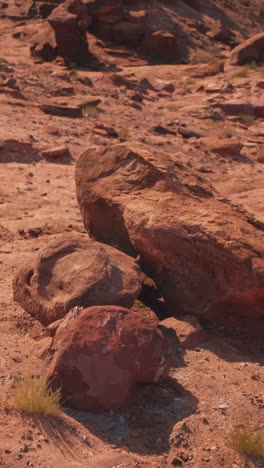 red rocks desert landscape