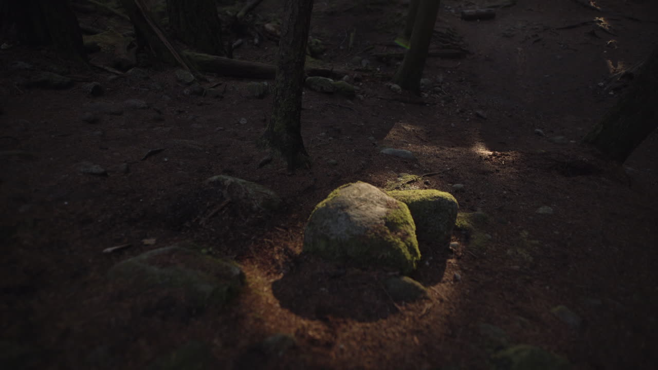 Last sunshine beams hitting rocks in dark autumn forest