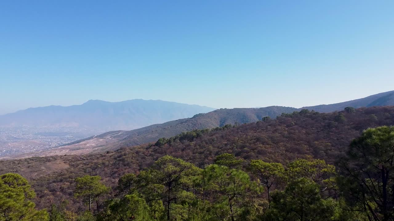 Splendido paesaggio rurale con alti alberi verdi e un vasto paesaggio montuoso a Oaxaca, Messico.